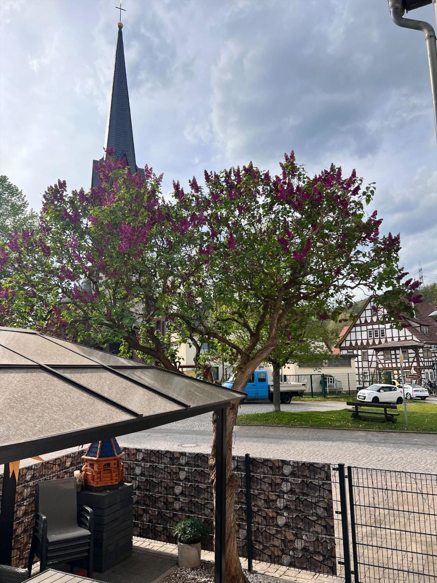 Ferien- Und Monteurwohnungen Andrej Eisenach Exterior foto